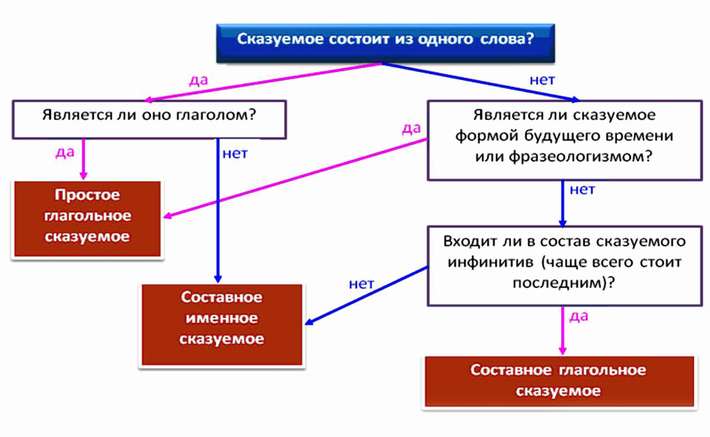 Состоят из основы которой